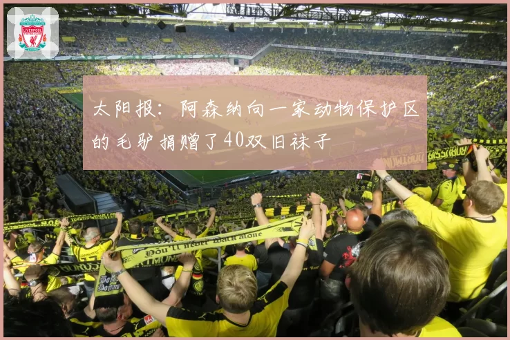 太阳报：阿森纳向一家动物保护区的毛驴捐赠了40双旧袜子