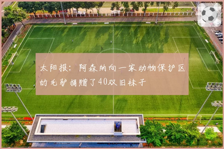 太阳报：阿森纳向一家动物保护区的毛驴捐赠了40双旧袜子